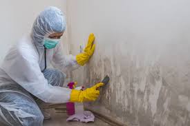 Best Real Estate Mold Inspection  in Bonsall, CA